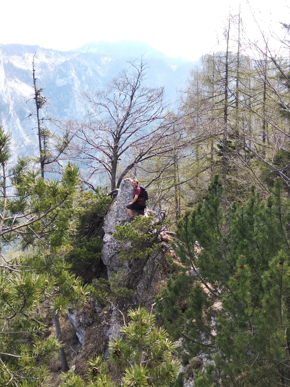 Moia Tours (24)